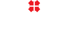 PJ Morgan Auctions