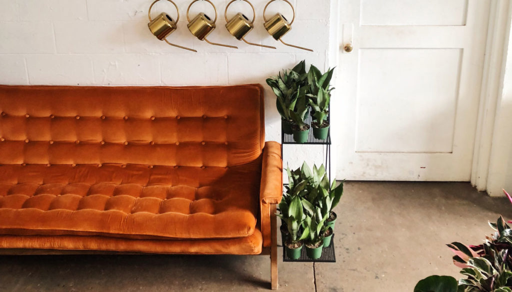 a living room with a large, reddish, velvet couch and many houseplants 